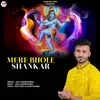 About Mere Bhole Shankar Song